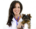 Veterinary Colleges and Universities in India